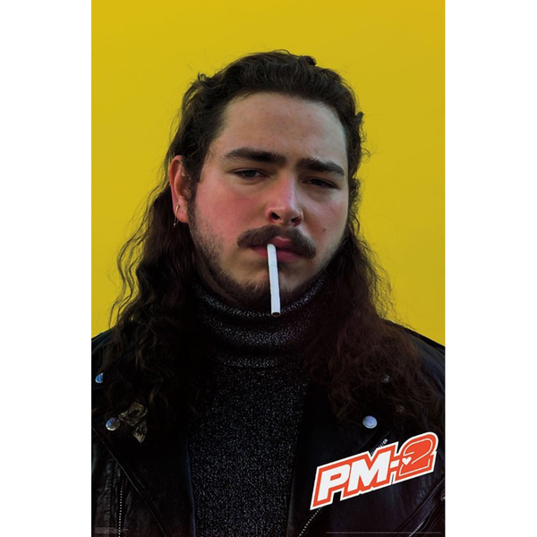 Post Malone Poster - 24"x36"