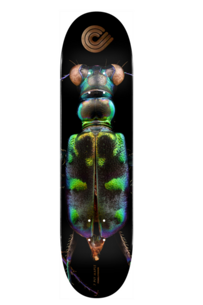 Powell Peralta Skateboards- Biss Leaf Deck