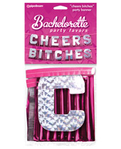 Bachelorette Party Favors Cheers Bitches Party Banner